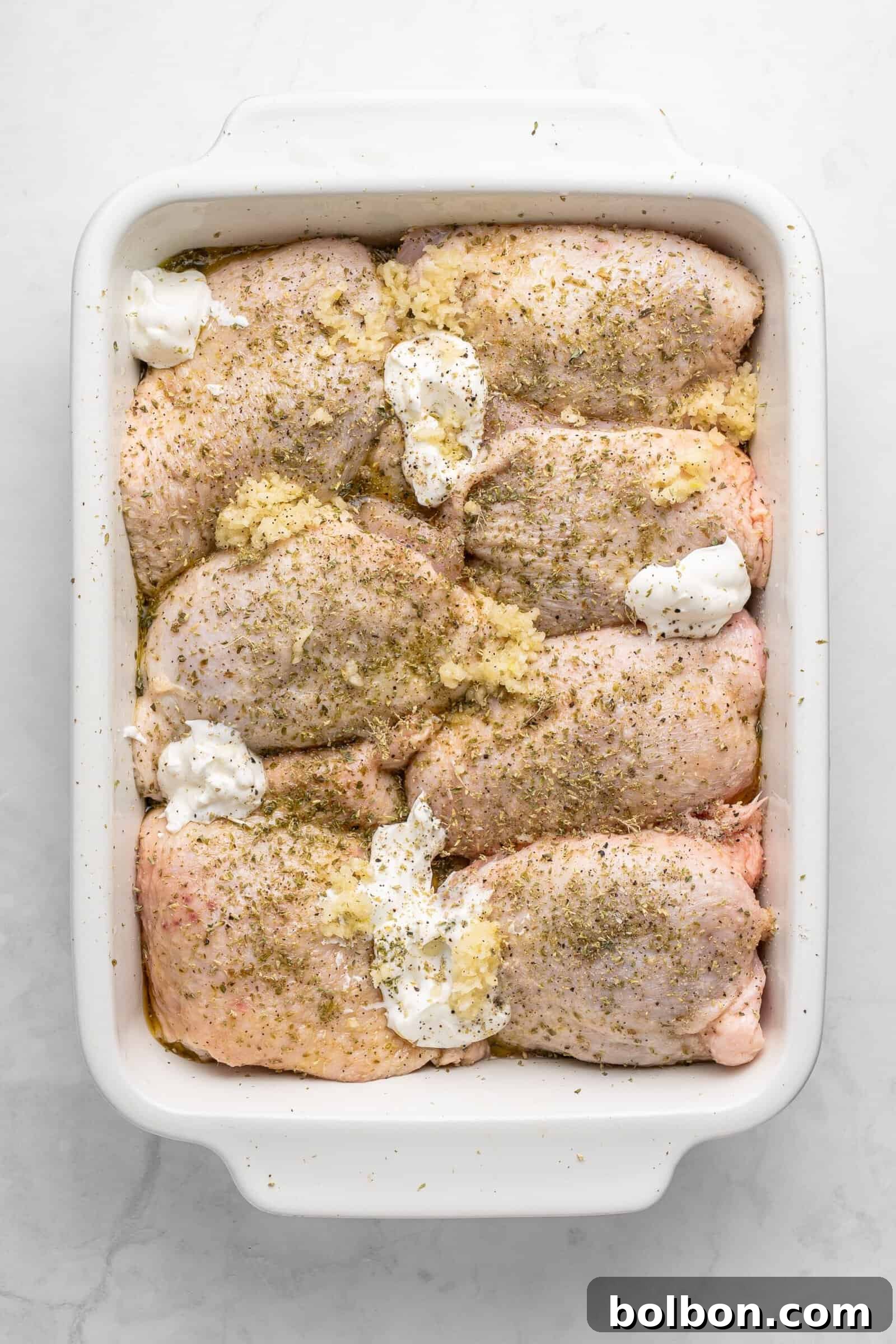 Zesty Lemon Yogurt Chicken 4 img 5692 3