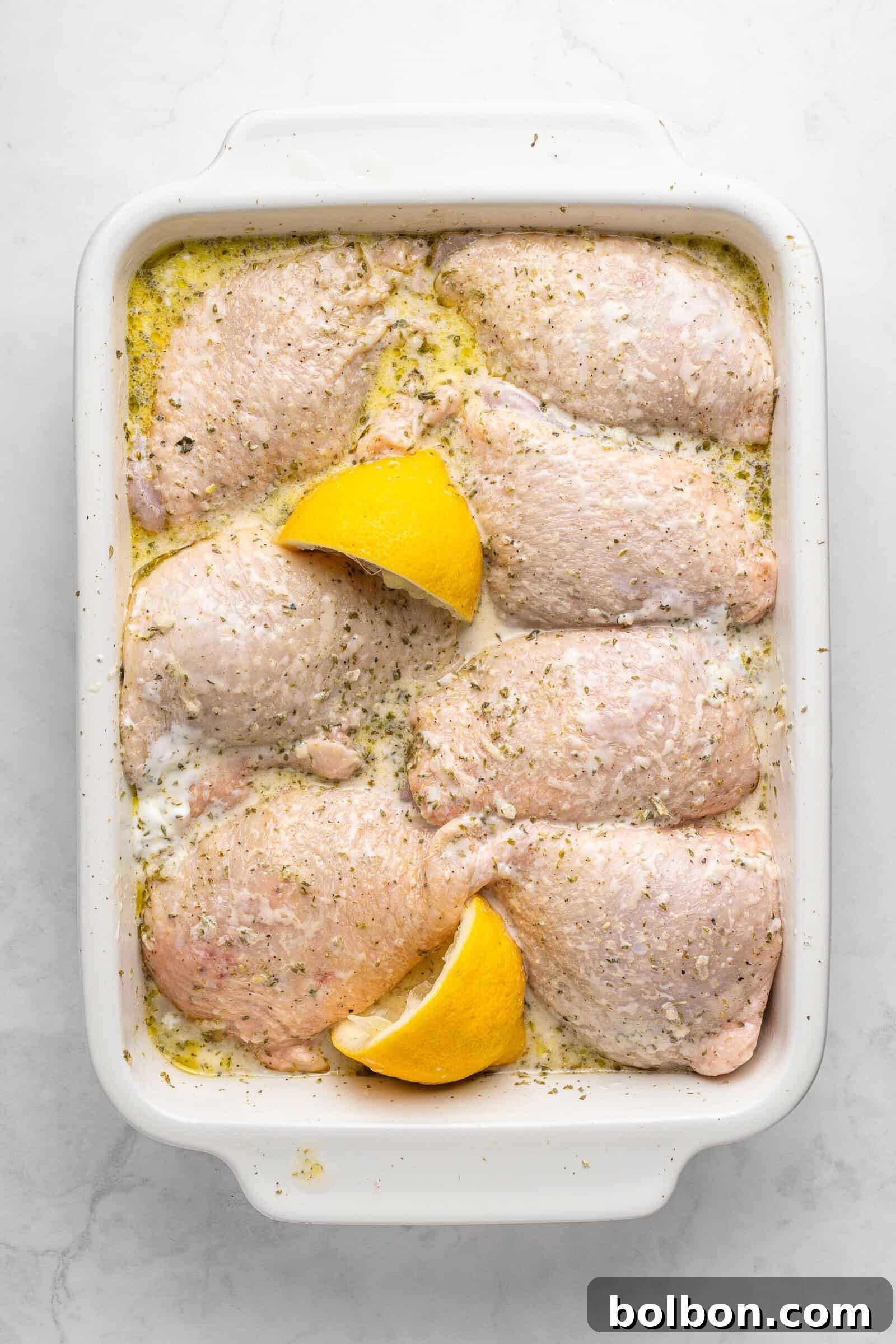 Zesty Lemon Yogurt Chicken 5 img 5692 4