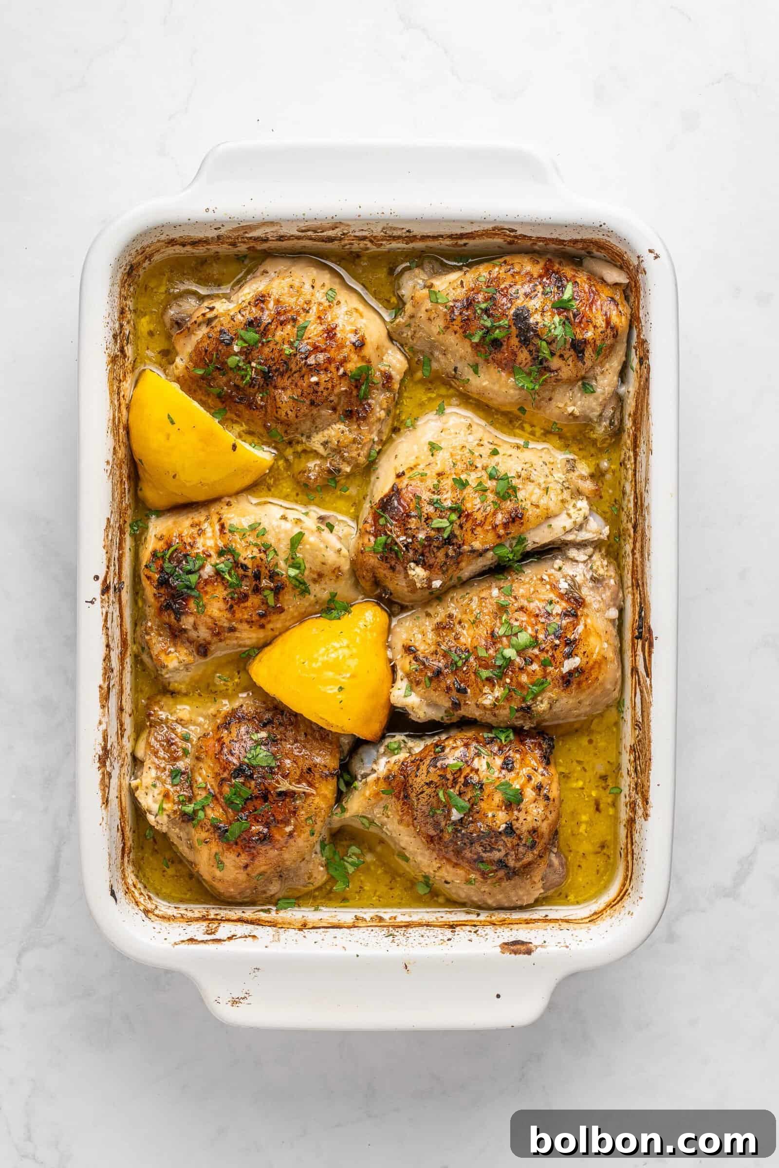 Zesty Lemon Yogurt Chicken 6 img 5692 5