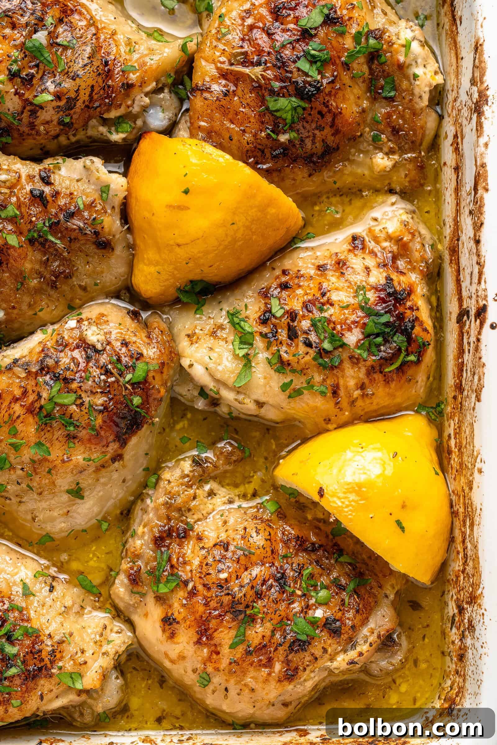 Zesty Lemon Yogurt Chicken 7 img 5692 6