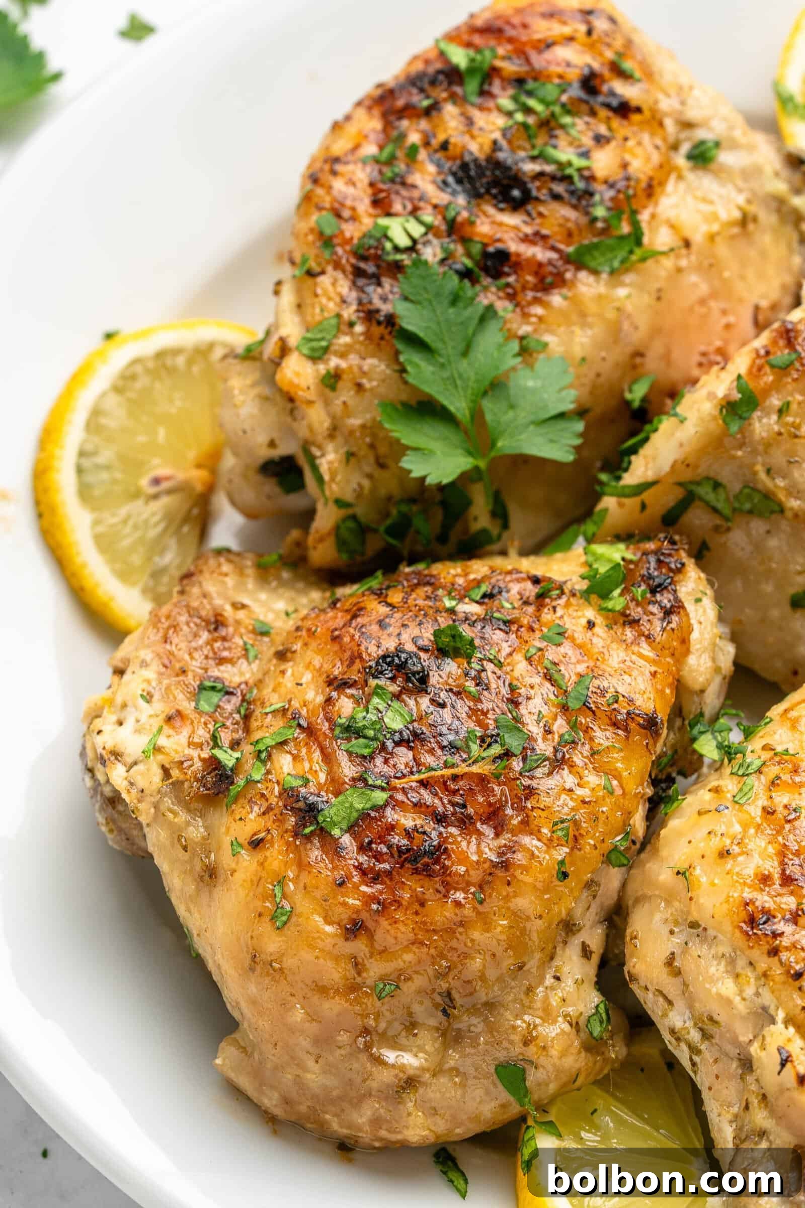Zesty Lemon Yogurt Chicken 8 img 5692 7