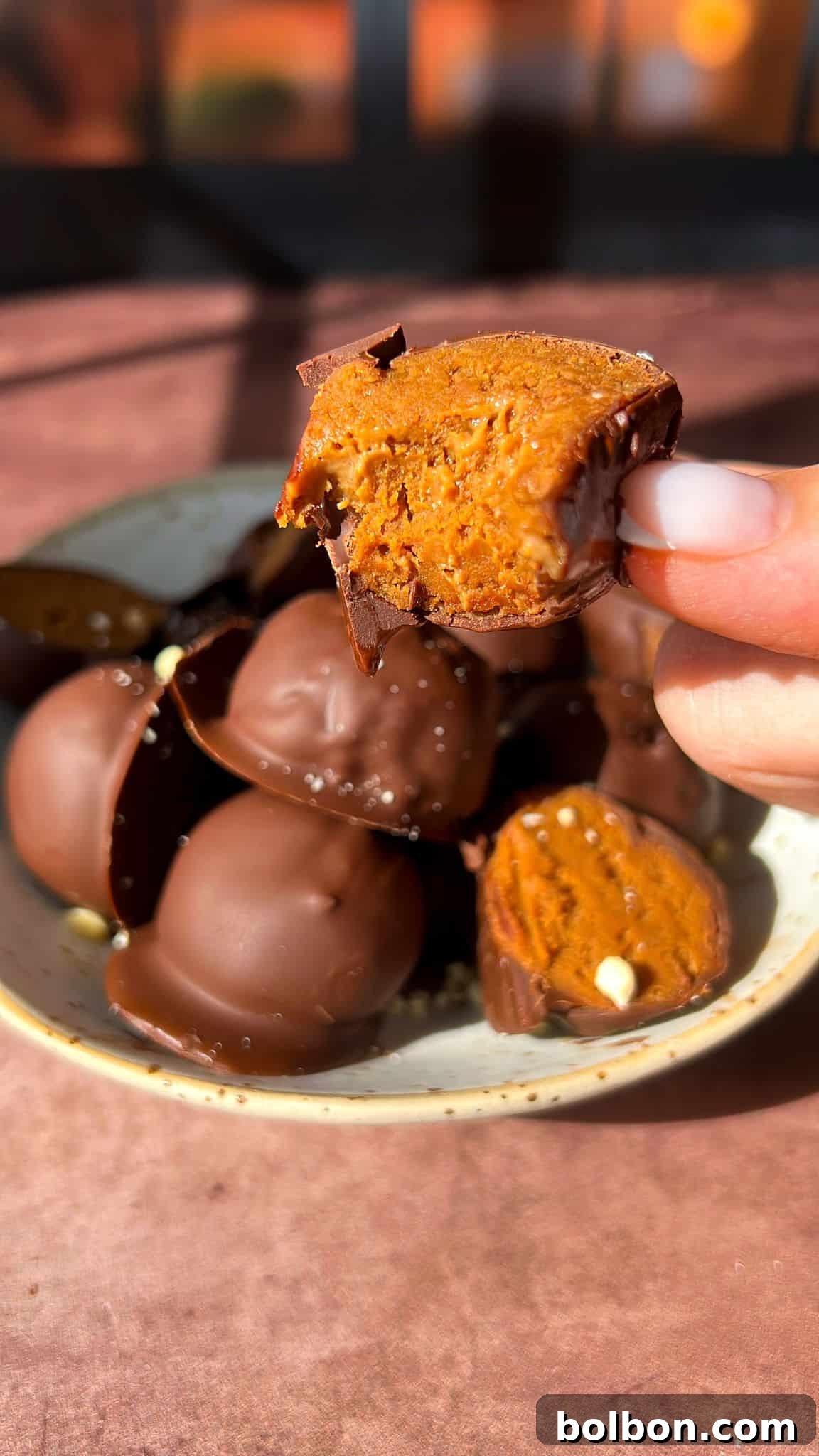 A hand holds a bitten piece of 3 ingredient protien balls, revealing a caramel-like filling. Below, a plate is filled with more of these chocolate-covered sweets. Soft sunlight highlights the textures.
