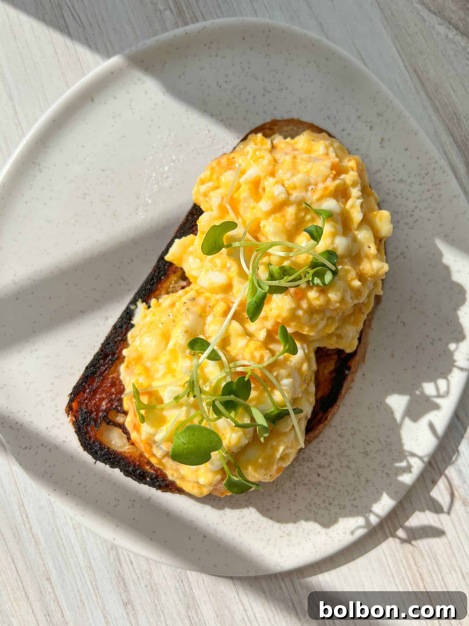 A plate with two slices of toast topped with scrambled eggs and garnished with microgreens. The toast is slightly charred, and sunlight casts shadows on the white, speckled plate and wooden table surface.