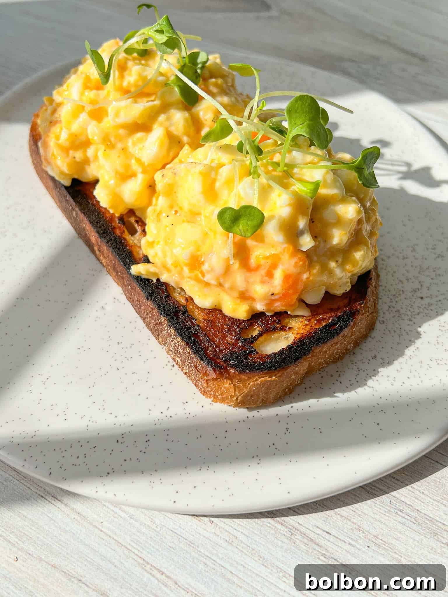 The perfect cottage cheese eggs. Open-faced sandwich with scrambled eggs on toasted bread, garnished with microgreens. The sandwich is on a white plate, and sunlight is casting shadows, enhancing the texture of the dish. 
