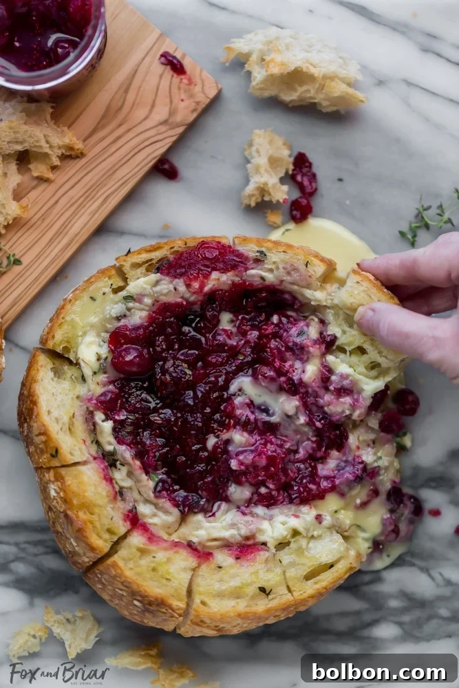 Gooey Cranberry Brie Bread Bowl 2 A stunning close-up of the Baked Cranberry Brie Bread Bowl, showcasing the melted brie and vibrant cranberry sauce within a golden, pull-apart bread boule, perfect for holiday entertaining.