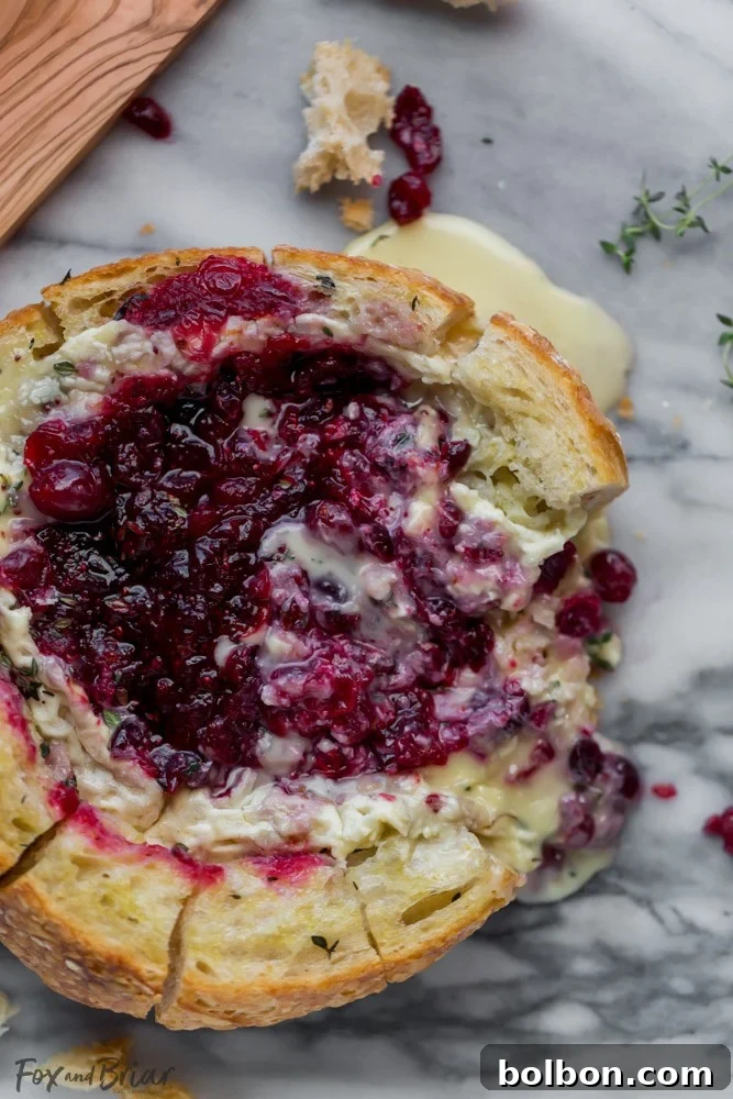 Gooey Cranberry Brie Bread Bowl 6 A detailed image showing the pull-apart cuts made around the bread boule, ready to be filled with brie and cranberry.