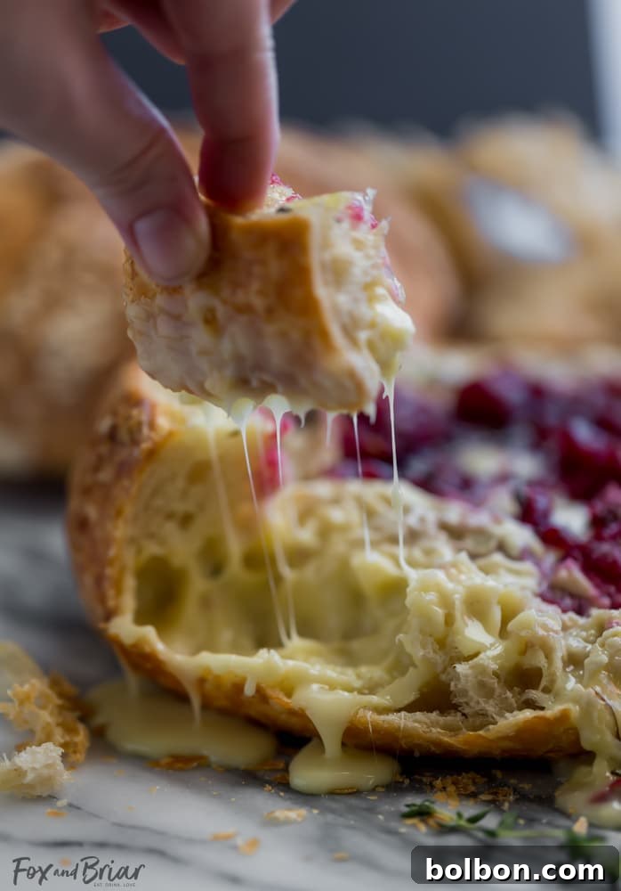 Gooey Cranberry Brie Bread Bowl 7 The Baked Cranberry Brie Bread Bowl fresh from the oven, with golden brown crust and perfectly melted brie, garnished and ready to serve.