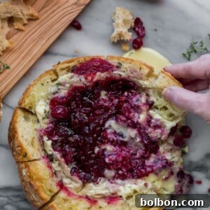 Gooey Cranberry Brie Bread Bowl 9 img 5782 8