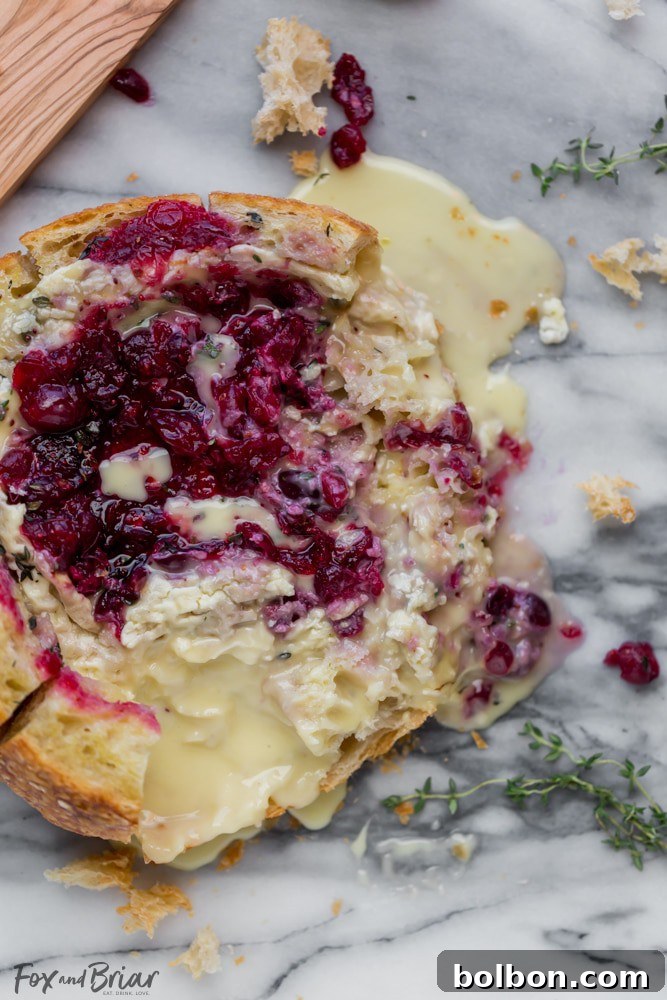 Gooey Cranberry Brie Bread Bowl 8 A final captivating image of the Baked Cranberry Brie Bread Bowl, showcasing its appeal as a festive and delicious appetizer for any holiday party.