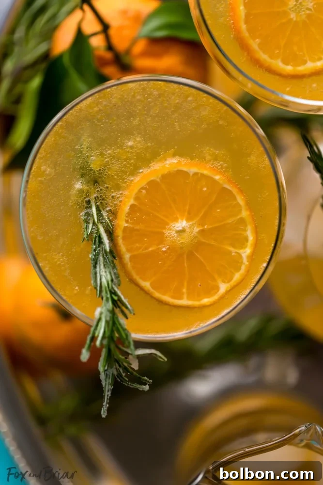 Close-up of the Rosemary Clementine Sparkler, showcasing garnishes of fresh rosemary and clementine slices. A perfect winter mocktail for New Year's and holiday celebrations.