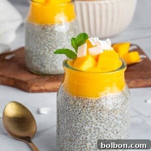 Two glass jars filled with chia pudding topped with mango chunks, coconut flakes, and mint leaves. A gold spoon lies beside them. In the background, a bowl of mangoes sits on a wooden board.