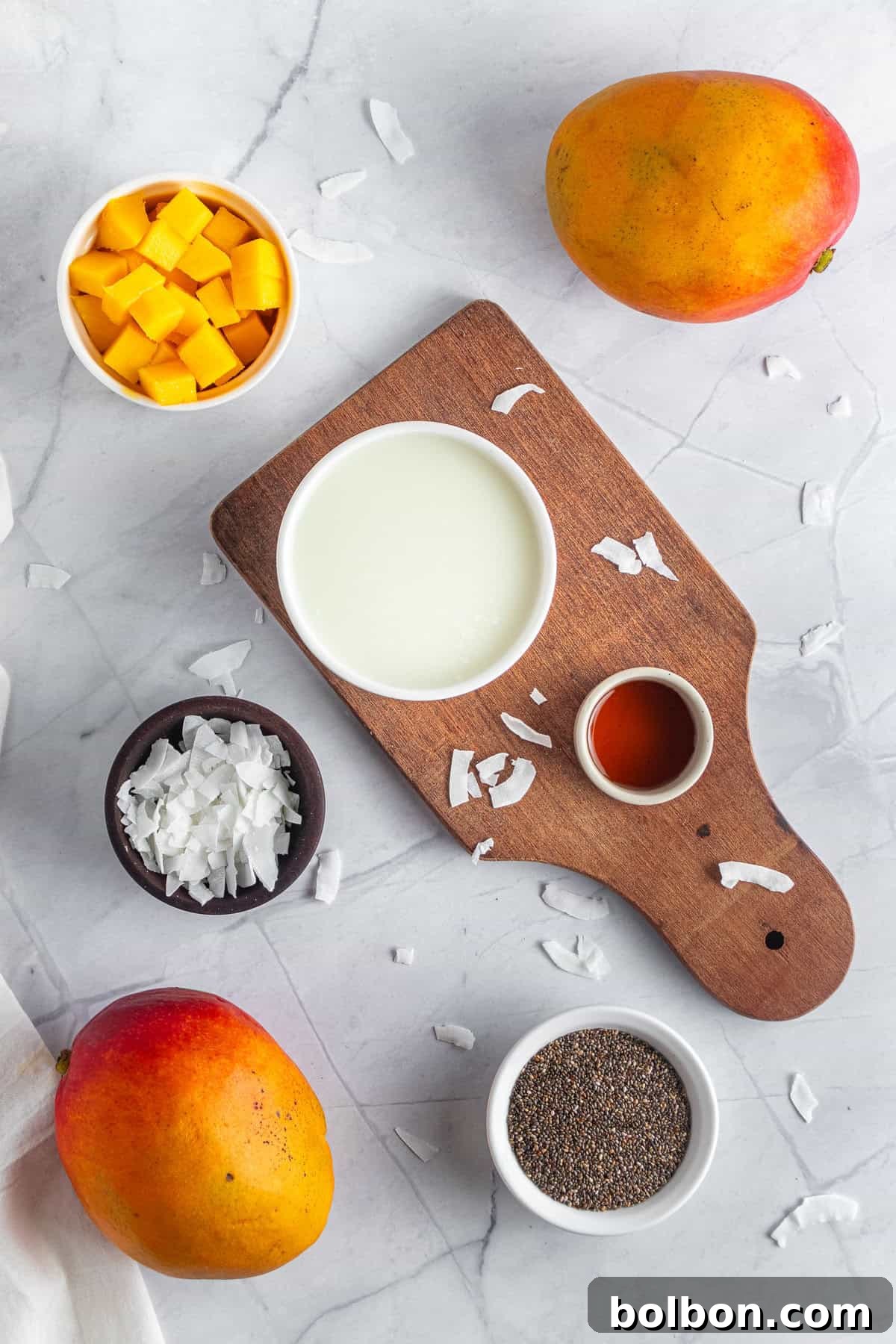 Tropical Mango Chia Delight 3 Top view of all of the ingredients on a kitchen island.