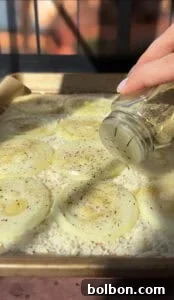 A hand is sprinkling seasoning from a shaker onto sliced onions arranged on top of a layer of rice in a baking dish. The dish is lined with parchment paper and bathed in warm sunlight.