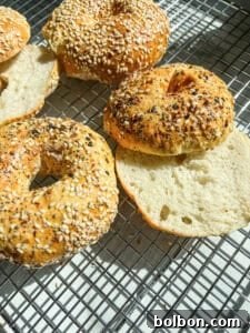 The Internet's Favorite Cottage Cheese Bagels 11 Three sesame seed-covered bagels are on a cooling rack. One bagel is sliced in half, revealing a soft interior. Bright natural light casts shadows, creating a fresh and appetizing appearance.