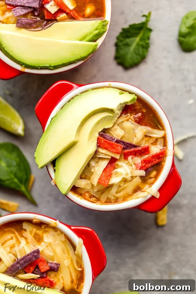 Wholesome Slow Cooker Chicken Tortilla Soup with a Fresh Southwest Salad 11 Delicious and healthy Slow Cooker Chicken Tortilla Soup with fresh Southwest salad and avocado slices ready to be enjoyed.
