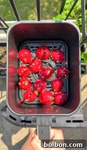 A hand holds an air fryer basket filled with bright red, seasoned tomatoes, ready to be cooked. The photo is taken outdoors near a metal railing and green plants.