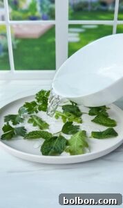 Doğanın Renkleriyle Paskalya Yumurtaları 5 A white bowl pours water onto a white plate containing fresh green herbs, including mint and parsley. The background features a blurred view of a garden through a window.