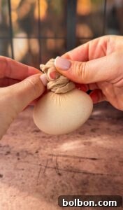 Doğanın Renkleriyle Paskalya Yumurtaları 7 Hands are tying a beige sock around a round object, forming a knot. The background is softly blurred, showing warm tones.