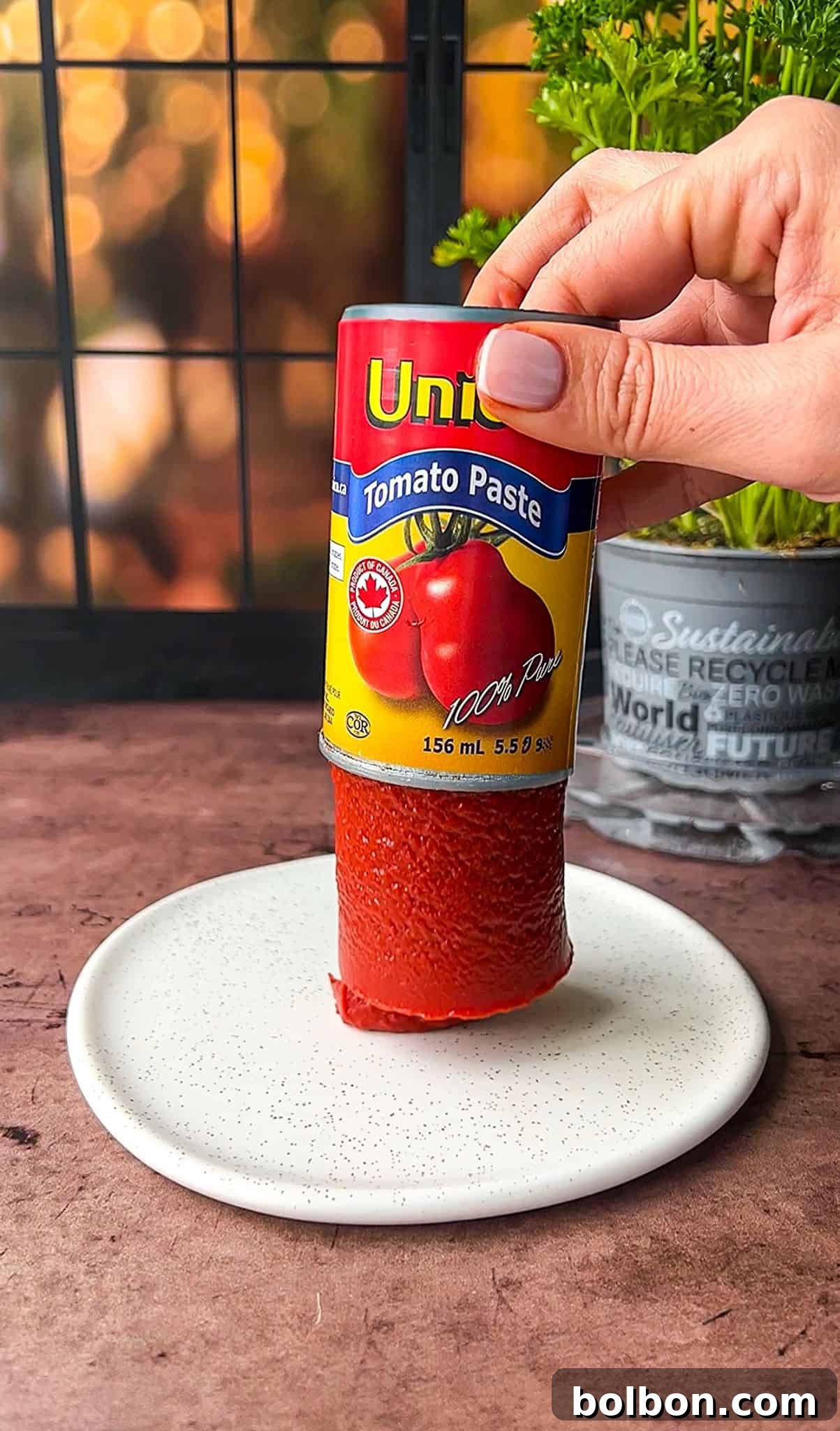 Tomato Paste Game Changer 2 A hand holding an upside-down can of tomato paste, with the paste standing upright on a white plate. A green plant and a black window grid are in the background.