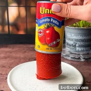 A hand holding an upside-down can of tomato paste, with the paste standing upright on a white plate. A green plant and a black window grid are in the background.