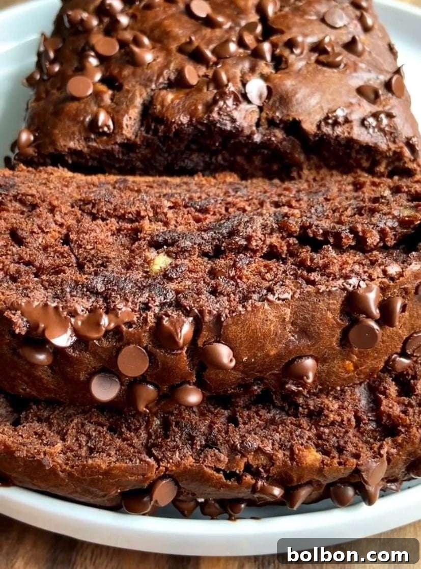 Ultimate Chocolate Banana Bread 2 Close-up of a perfectly baked Double Chocolate Banana Bread, showing its rich brown crust and visible chocolate chips, promising a moist and flavorful treat.