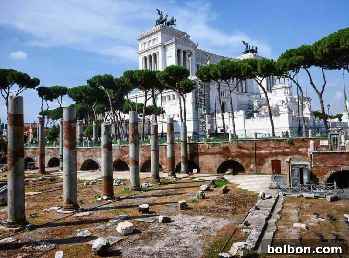Ancient stone columns and ruins in the foreground, with tall umbrella pines and the grand white Vittoriano monument topped with statues in the background, under a blue sky in Rome, Italy.