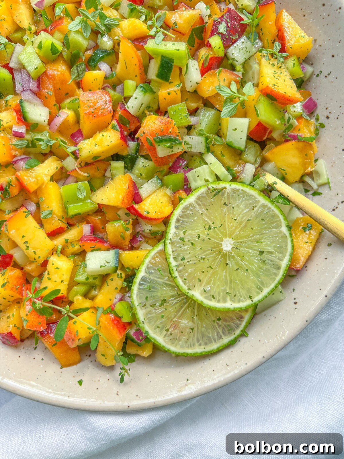 Golden Peach Salsa 2 Vibrant Peach Salsa showcasing fresh, diced peaches, cucumbers, and cilantro, served in a rustic bowl.