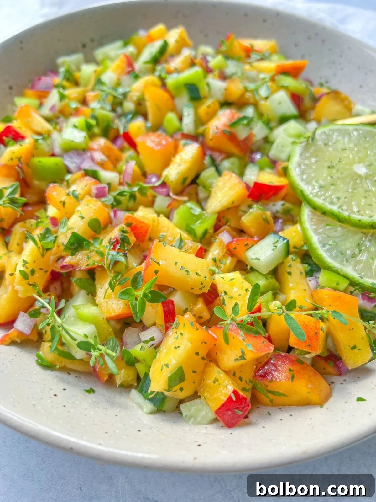 Golden Peach Salsa 3 A close-up view of fresh Peach Salsa, highlighting the vibrant colors and textures of the diced peaches, red onions, and herbs.