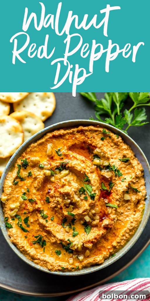 Vibrant Muhammara Roasted Red Pepper and Walnut Dip 3 Close-up of Muhammara, a rich Red Pepper Walnut Dip, showcasing its beautiful texture and color. A perfect healthy and vegan Middle Eastern appetizer.