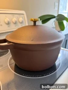 Craft Your Own Creamy Cottage Cheese 7 A brown cast iron Dutch oven with a brass knob on the lid sits on a stovetop, with a stove control panel and a green potted plant in the background.