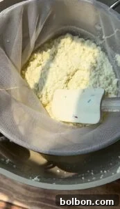 Craft Your Own Creamy Cottage Cheese 9 A white spatula rests on fresh ricotta cheese being strained through a fine mesh sieve over a stainless steel bowl, with sunlight illuminating the scene.