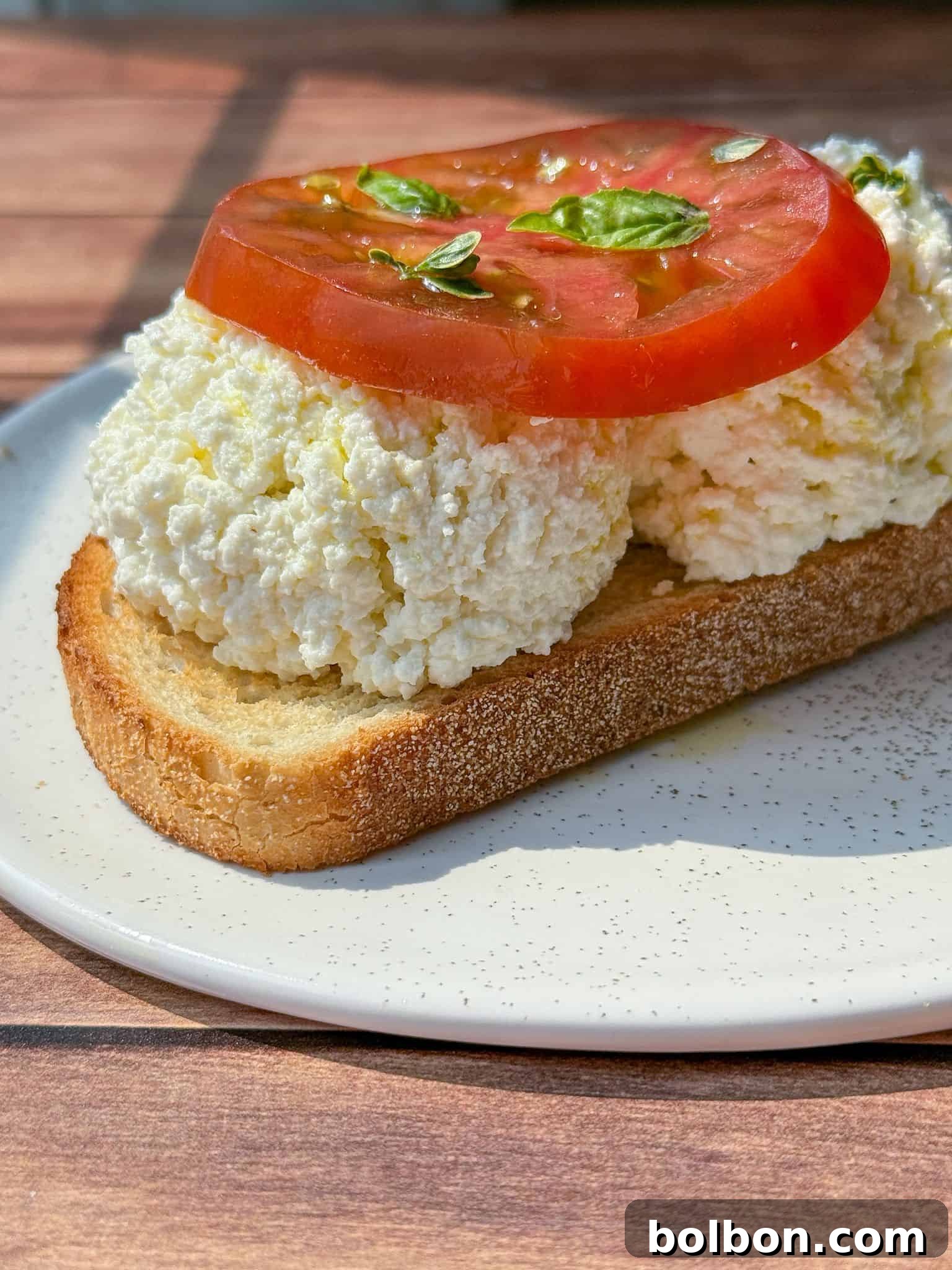Craft Your Own Creamy Cottage Cheese 3 A slice of toasted bread topped with generous scoops of ricotta cheese, a thick slice of tomato, and small basil leaves, served on a white plate on a wooden table.