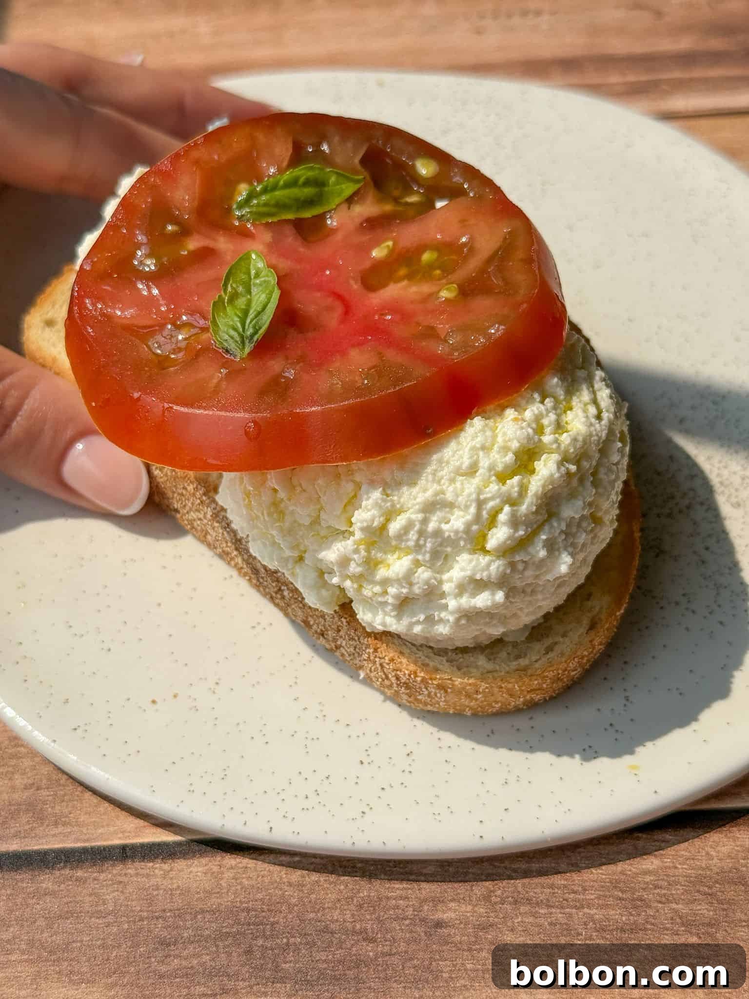 Craft Your Own Creamy Cottage Cheese 4 A hand holds a plate with a slice of bread topped with a scoop of ricotta cheese, a thick slice of tomato, and two small basil leaves, all on a sunlit wooden surface.