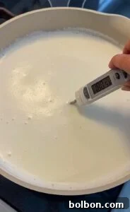 Craft Your Own Creamy Cottage Cheese 5 A hand holds a digital thermometer in a pot of milk, showing a temperature of 55.9°C. The milk appears to be heating on a stovetop.