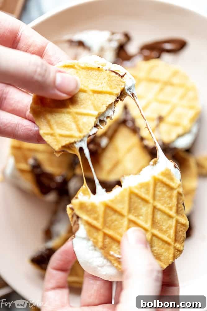 Ingredients for Salted Caramel S'mores on a baking sheet