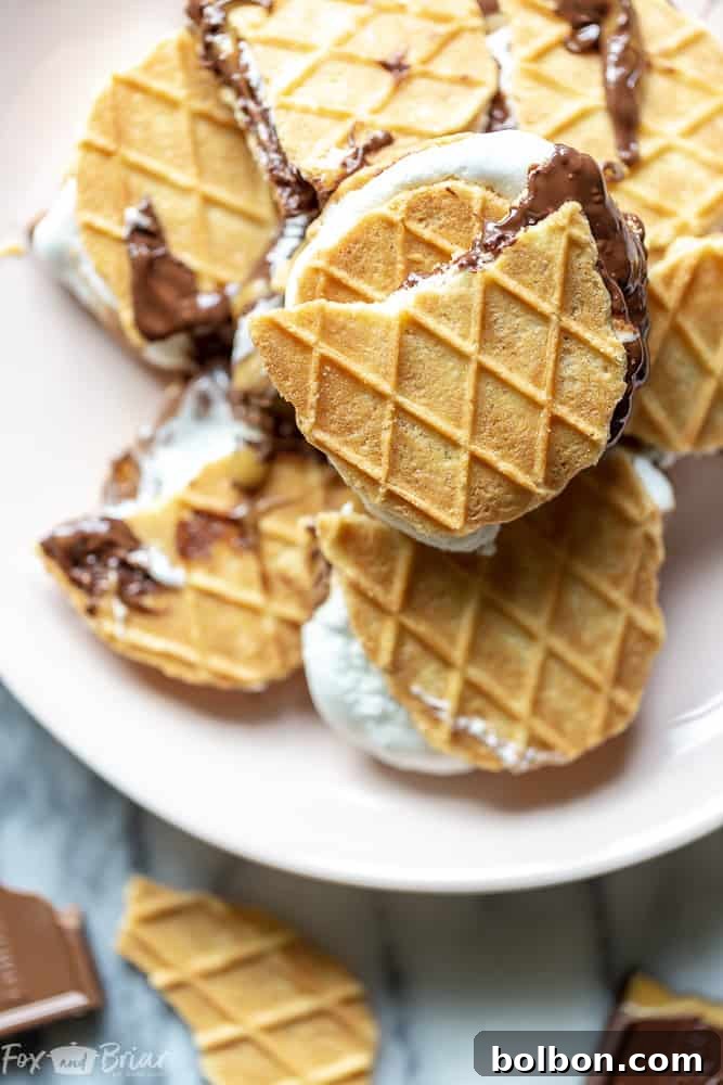 Close-up of Salted Caramel S'mores ready to be baked