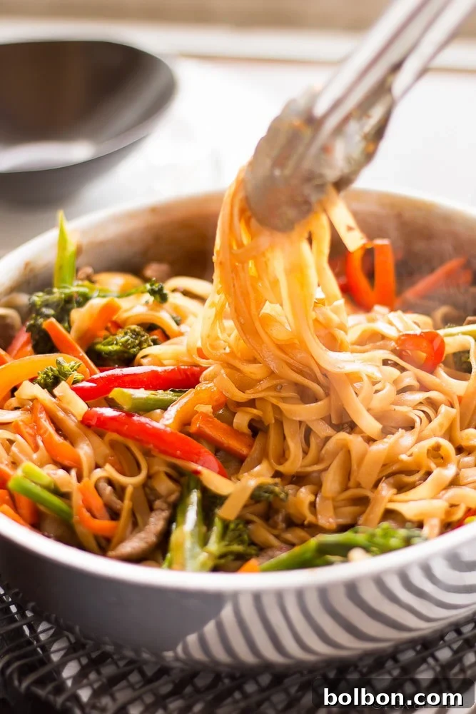 This quick and easy Beef Noodle Stir Fry takes under 30 minutes and is easily made gluten free! Full of veggies, beef and a flavorful sauce, your whole family will love it!