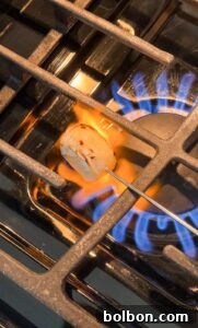 A marshmallow on a metal skewer is being roasted over a blue gas stove flame, with part of the marshmallow turning brown.