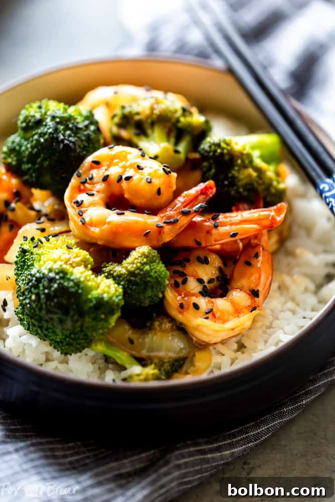 A beautifully plated serving of Broccoli and Shrimp Stir Fry, garnished with sesame seeds, presenting a mouth-watering view of this quick and healthy weeknight meal.