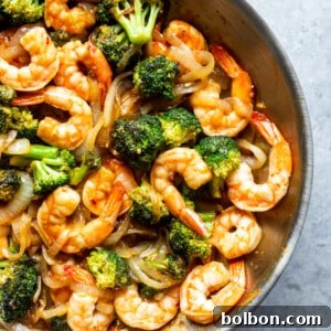 Finished Broccoli and Shrimp Stir Fry plated for serving