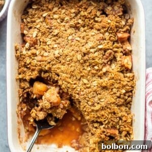 Beautifully plated slice of apple crisp, warm and golden brown, with a scoop of melting vanilla ice cream.