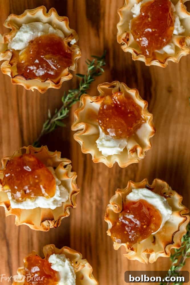Elegant Fig and Goat Cheese Bites in Phyllo Cups