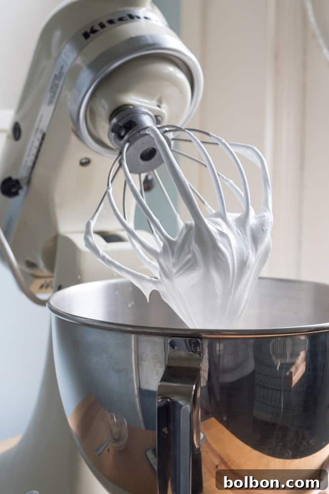 Crafting Your Perfect Pavlova Wreath 4 A top-down view of a pavlova wreath, showcasing its elegant round shape and perfectly formed individual meringue sections, ready for filling.