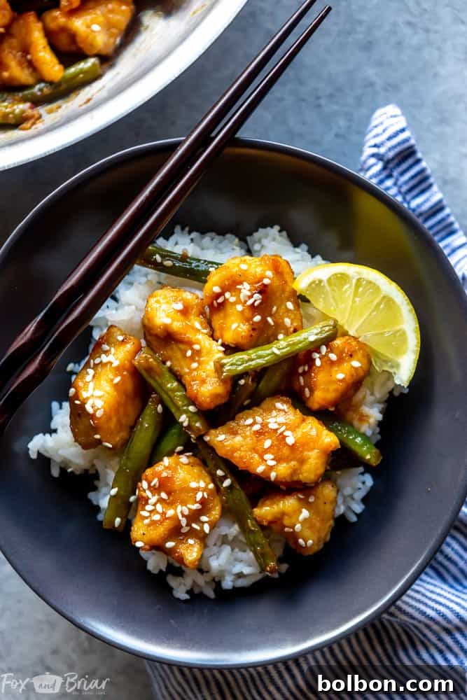 Quick Zesty Lemon Chicken Stir Fry 6 Lemon Chicken Stir Fry with a variety of vegetables, showcasing versatility and healthy eating.