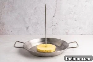 Aloha Chicken Gyro 5 A thick slice of pineapple is pierced vertically by a long metal skewer, standing upright in the center of a round metal pan with two handles, placed on a light-colored surface.