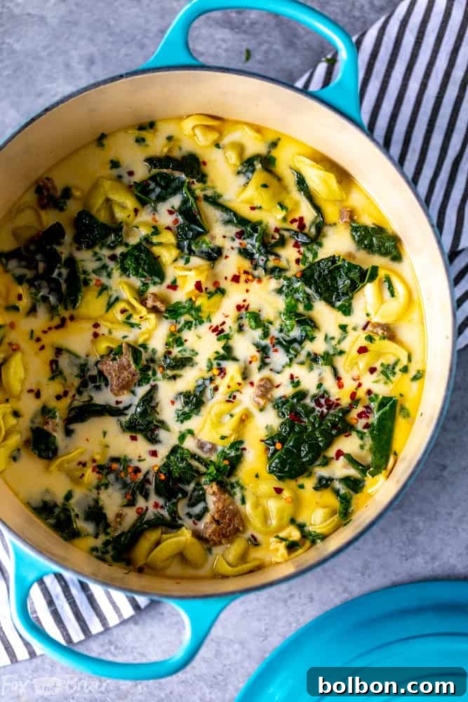 Effortless Creamy Sausage Tortellini Soup 2 A steaming bowl of creamy sausage and tortellini soup garnished with fresh herbs, perfect for a quick and comforting meal.