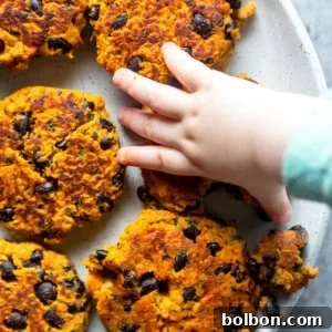 Sweet Potato, Kale, and Black Bean Patties for babies and toddlers