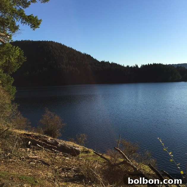 Lush forest trail near Cascade Lake on Orcas Island, perfect for a peaceful hike