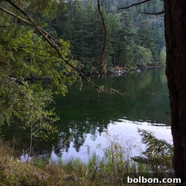 Serene view of a lake on Orcas Island, surrounded by trees and clear skies