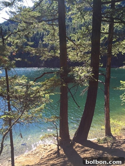 Outdoor glamping scene with a tent and a picturesque natural setting, perfect for relaxation
